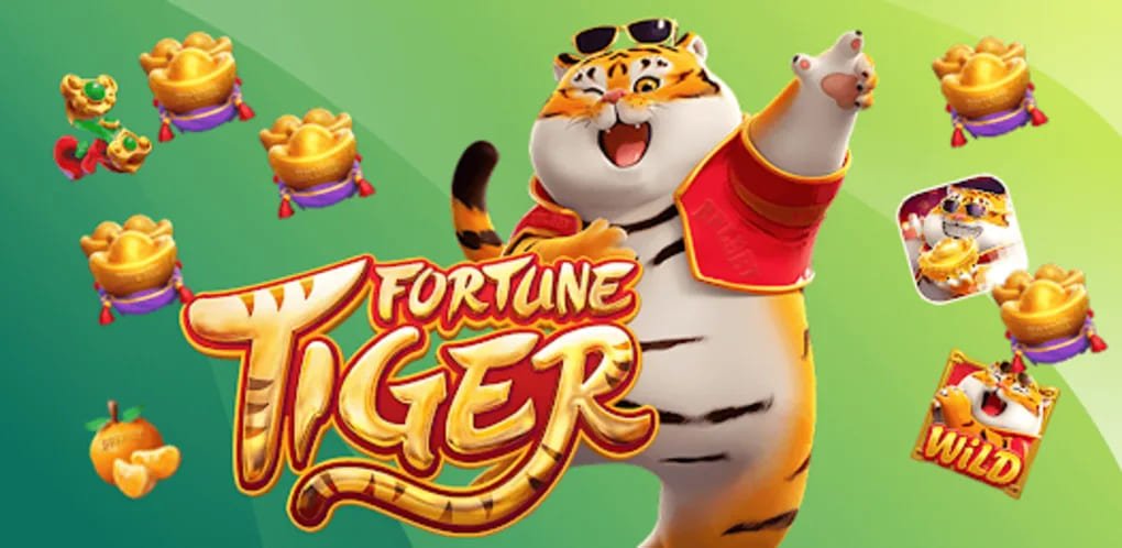 Dragon Tiger live casino table မြင်ကွင်း